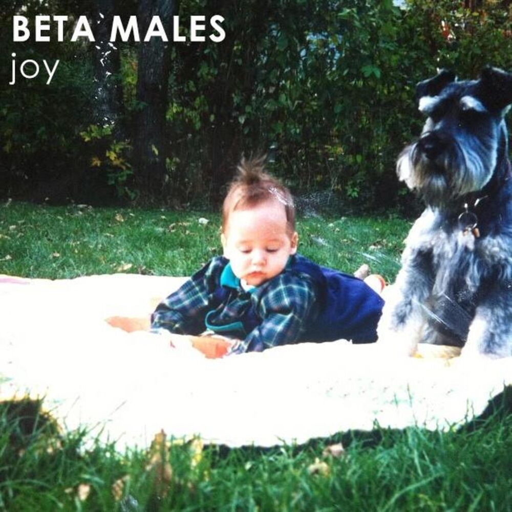 Picture of Joy