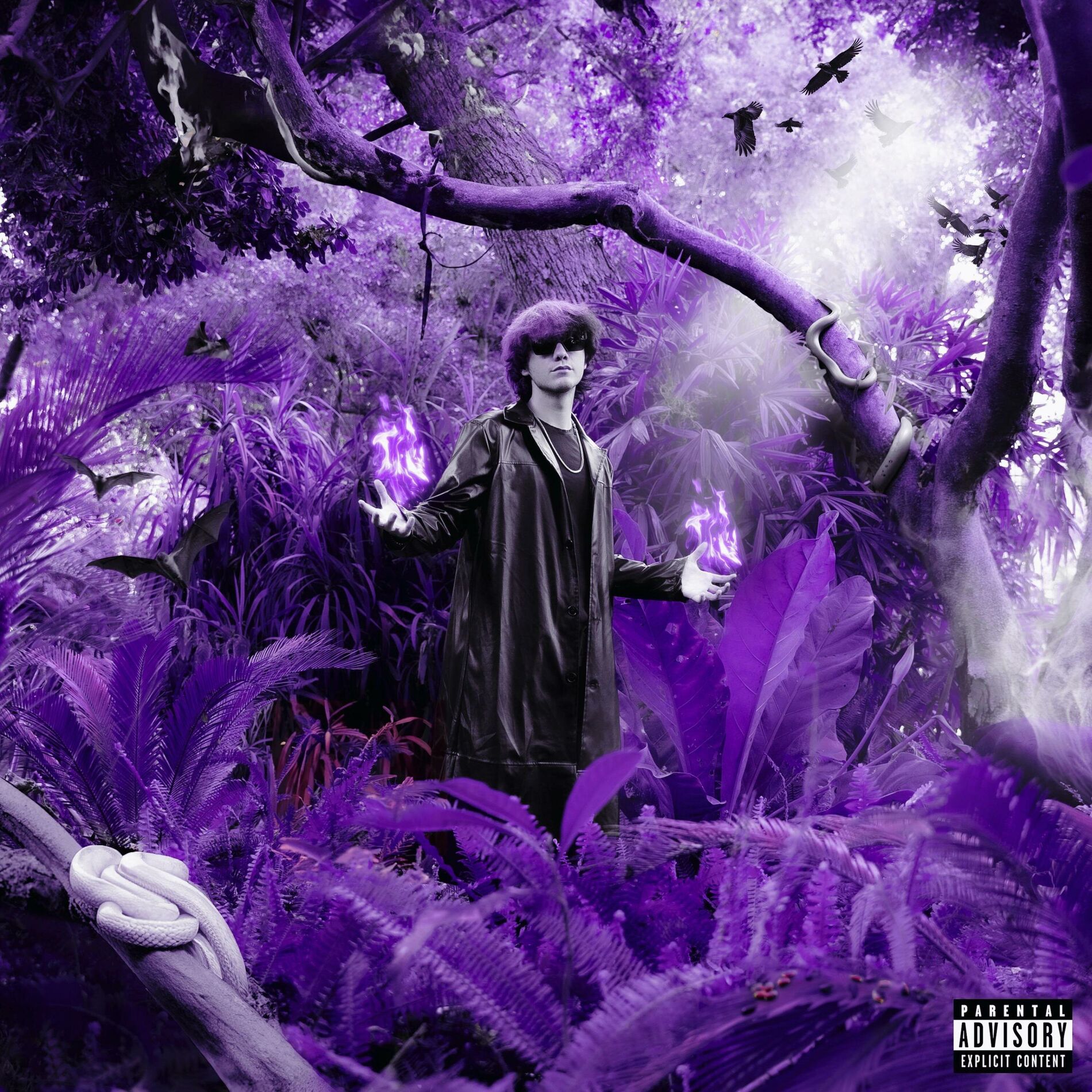 Album cover of Rebel