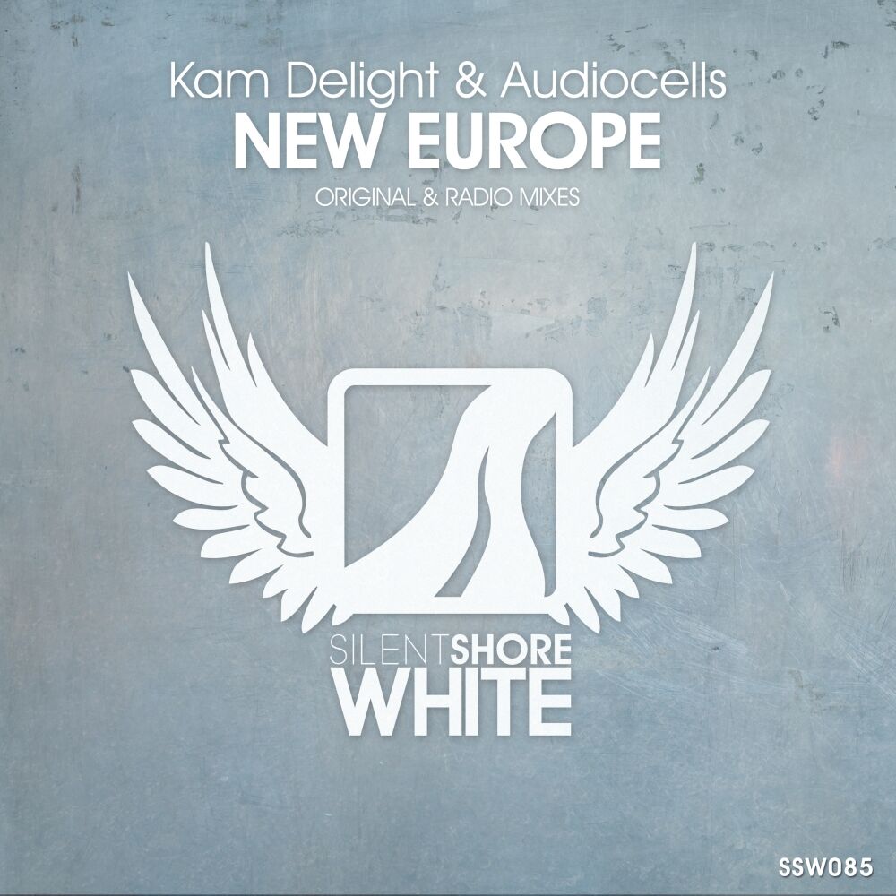 Picture of New Europe