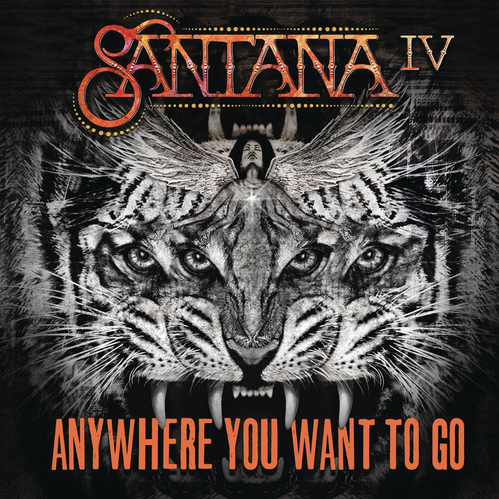 Picture of Anywhere You Want to Go
