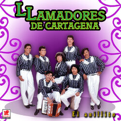Cover of El Anillito
