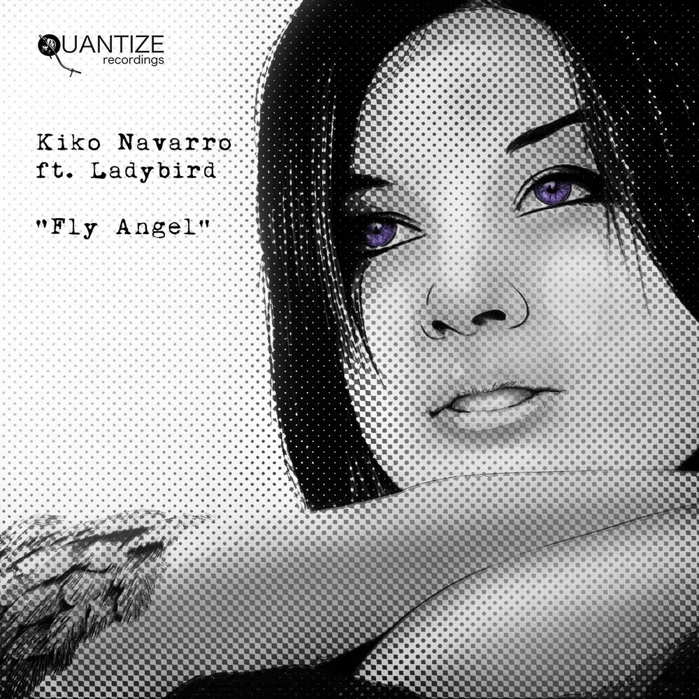 Picture of Fly Angel