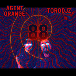 88 (feat. Torodjz)