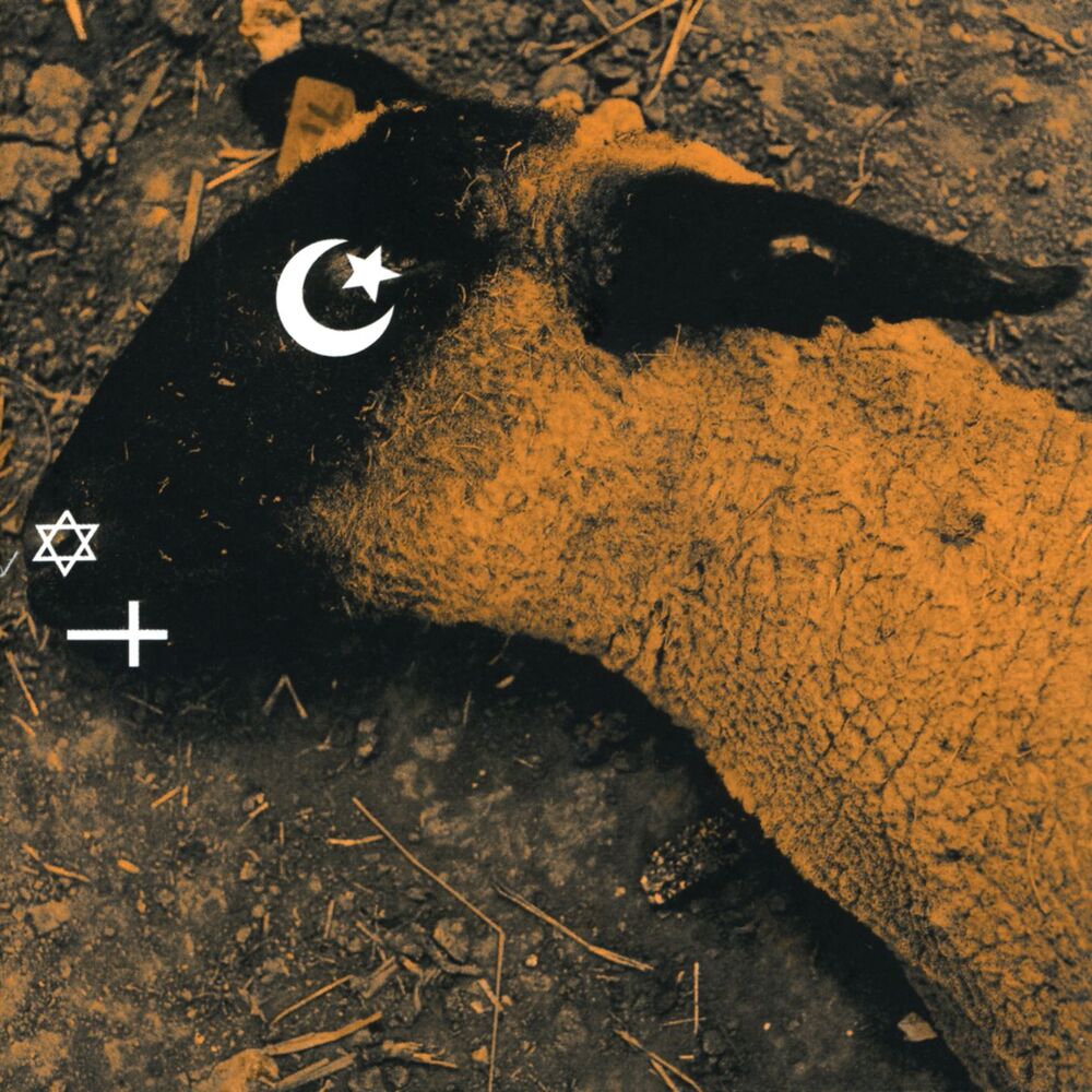 Picture of Animositisomina
