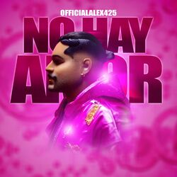 Cover of NO HAY AMOR