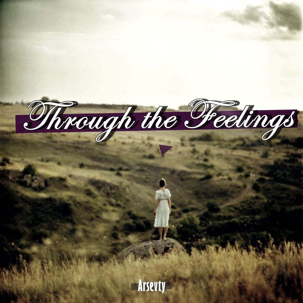 Picture of Through the Feelings