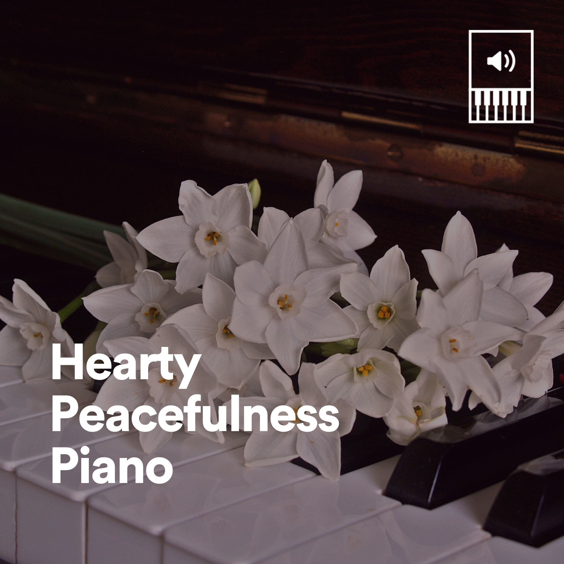 Album cover of Hearty Peacefulness Piano