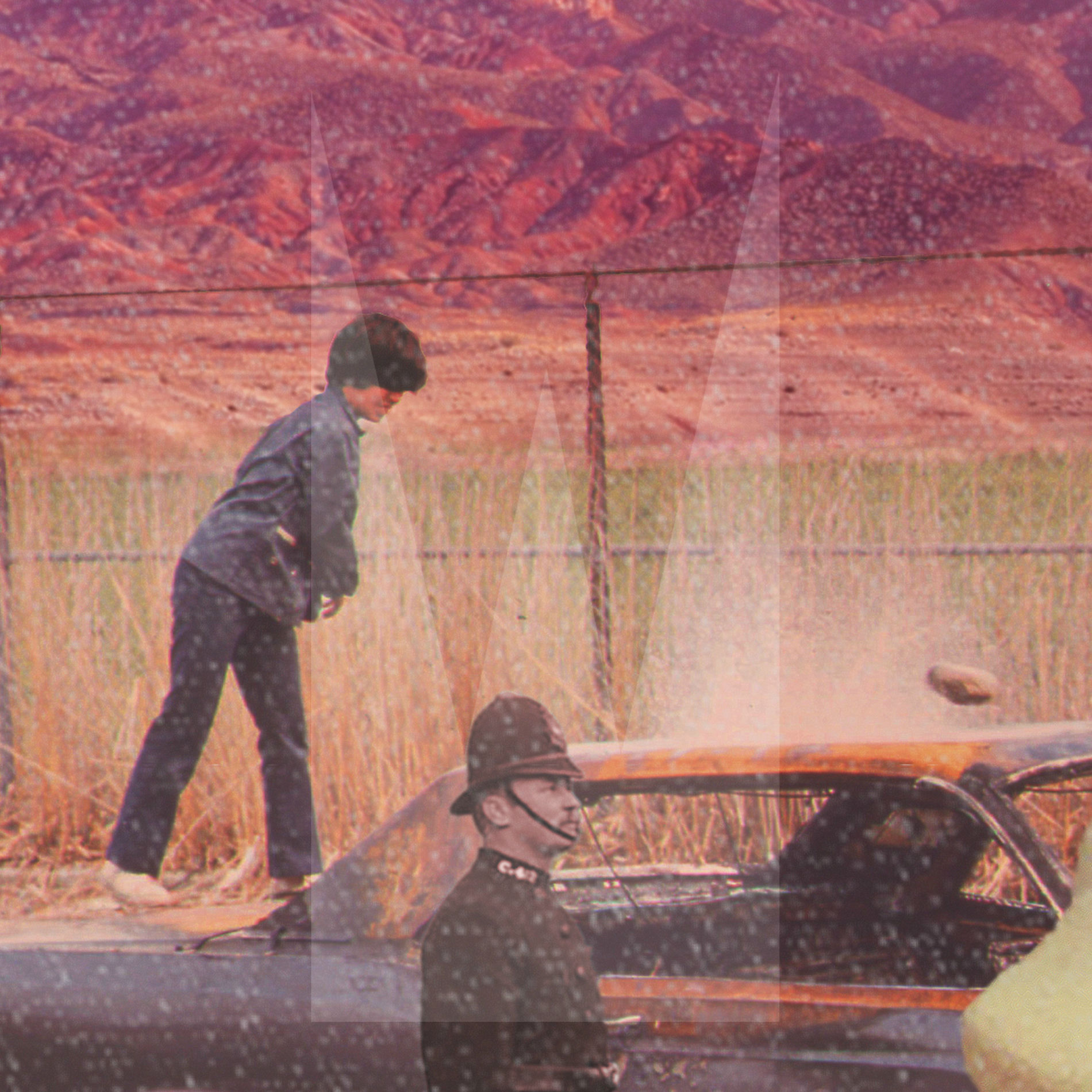 Album cover of Tend to the Thorns