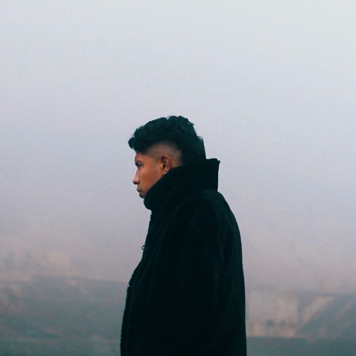 Album cover of Purificación