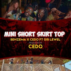Cover of Mini Short Skirt Top