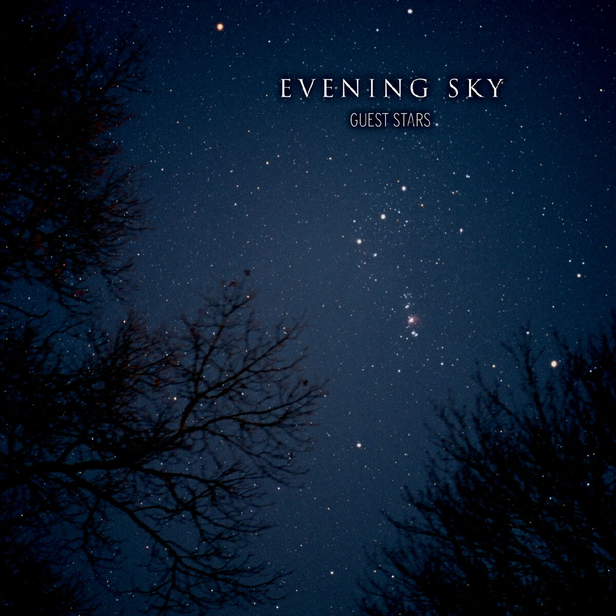 Album cover of Guest Stars
