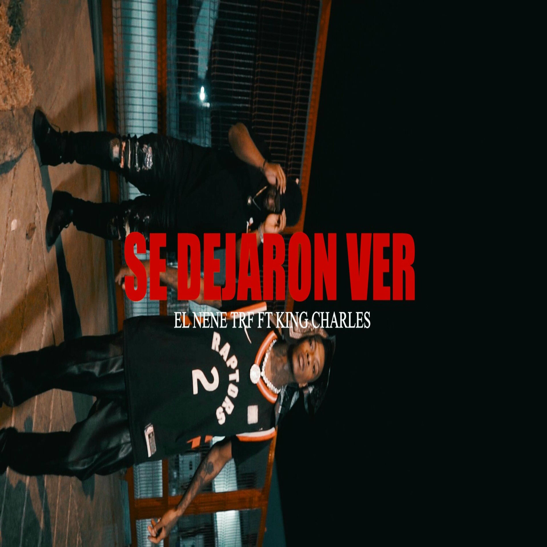 Album cover of Se Dejaron Ver