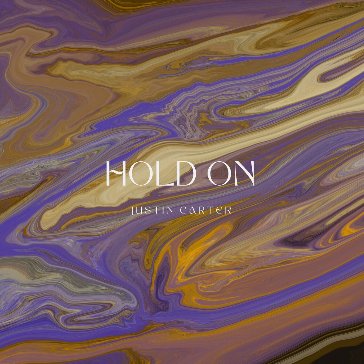 Album cover of Hold On
