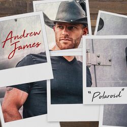 Cover of Polaroid