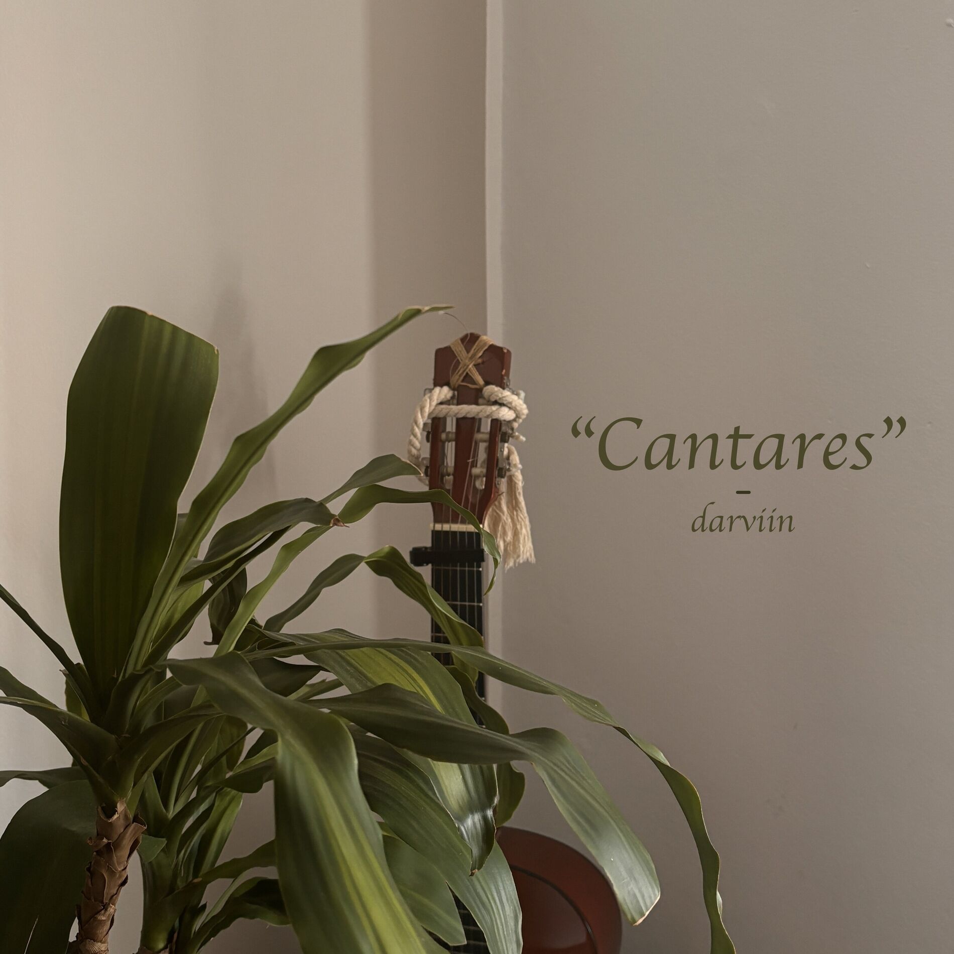 Album cover of Bésame (Cnt. 1:1)