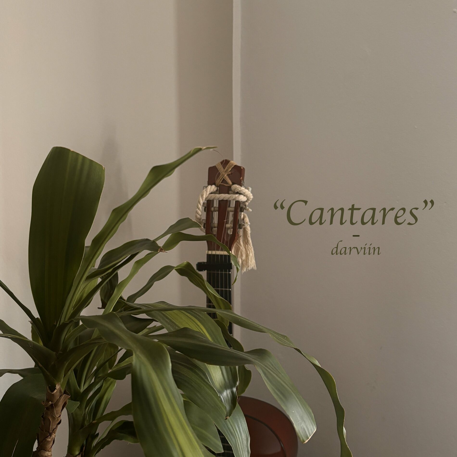 Album cover of Cantares
