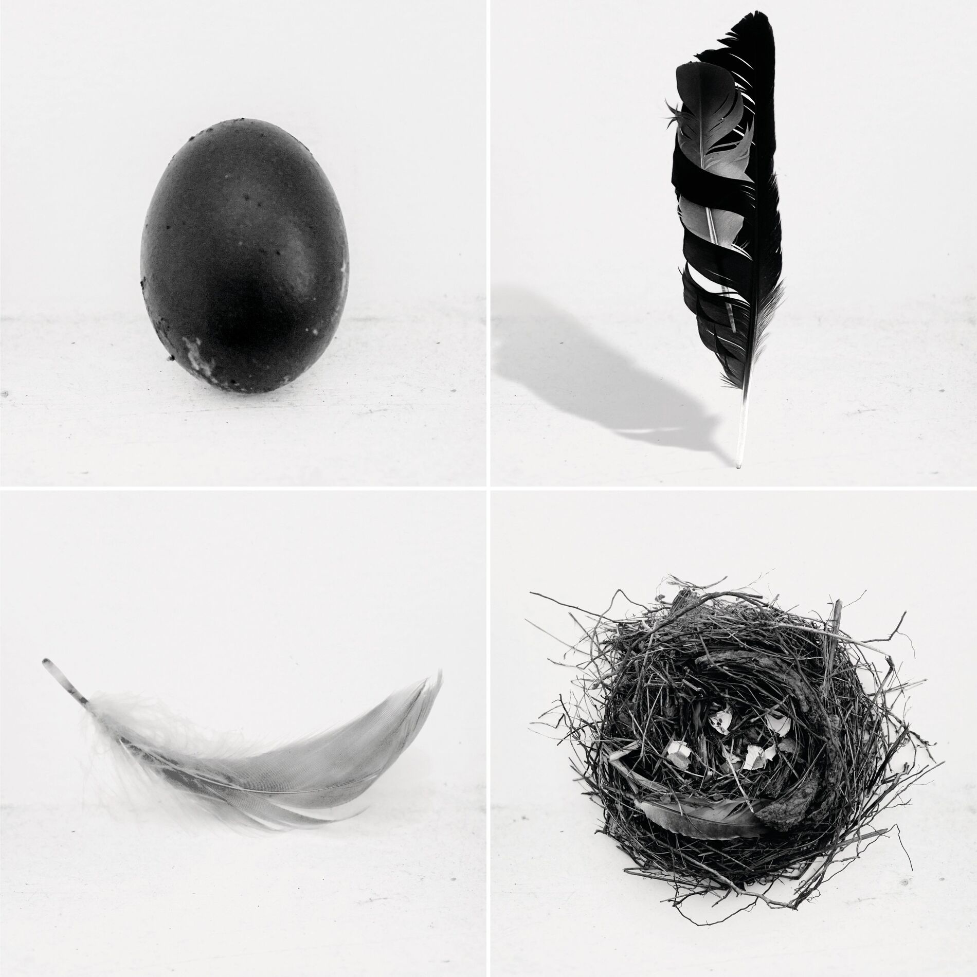 Album cover of It's Not That Easy