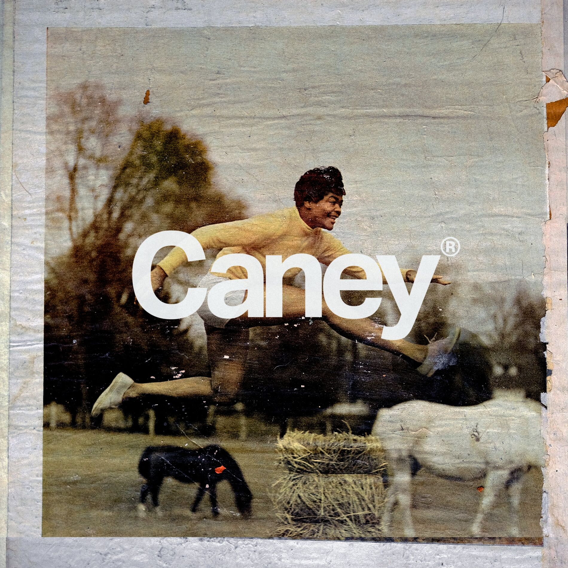Album cover of Caney