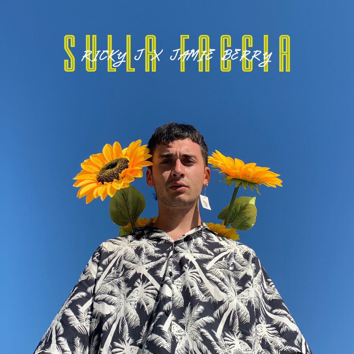 Album cover of Sulla Faccia