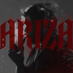 Portada del álbum Arıza