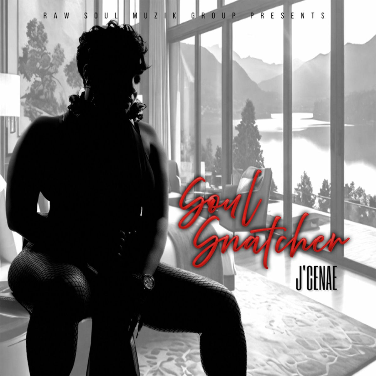 Album cover of Soul Snatcher