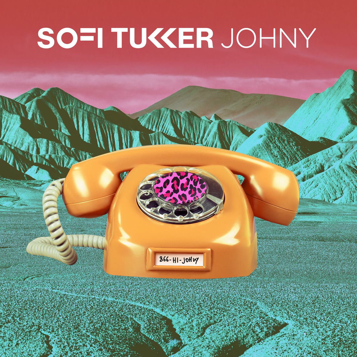 Album cover of Johny