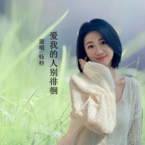 爱我的人别徘徊 (DJ版)