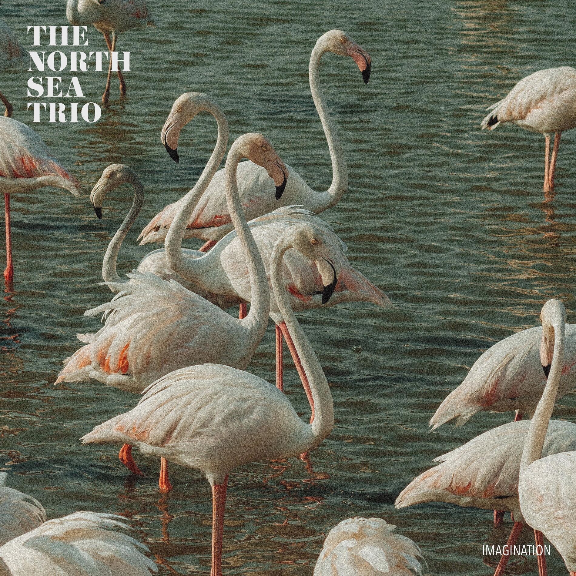Album cover of Imagination