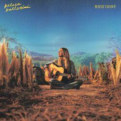 Cover of WHAT I HAVE