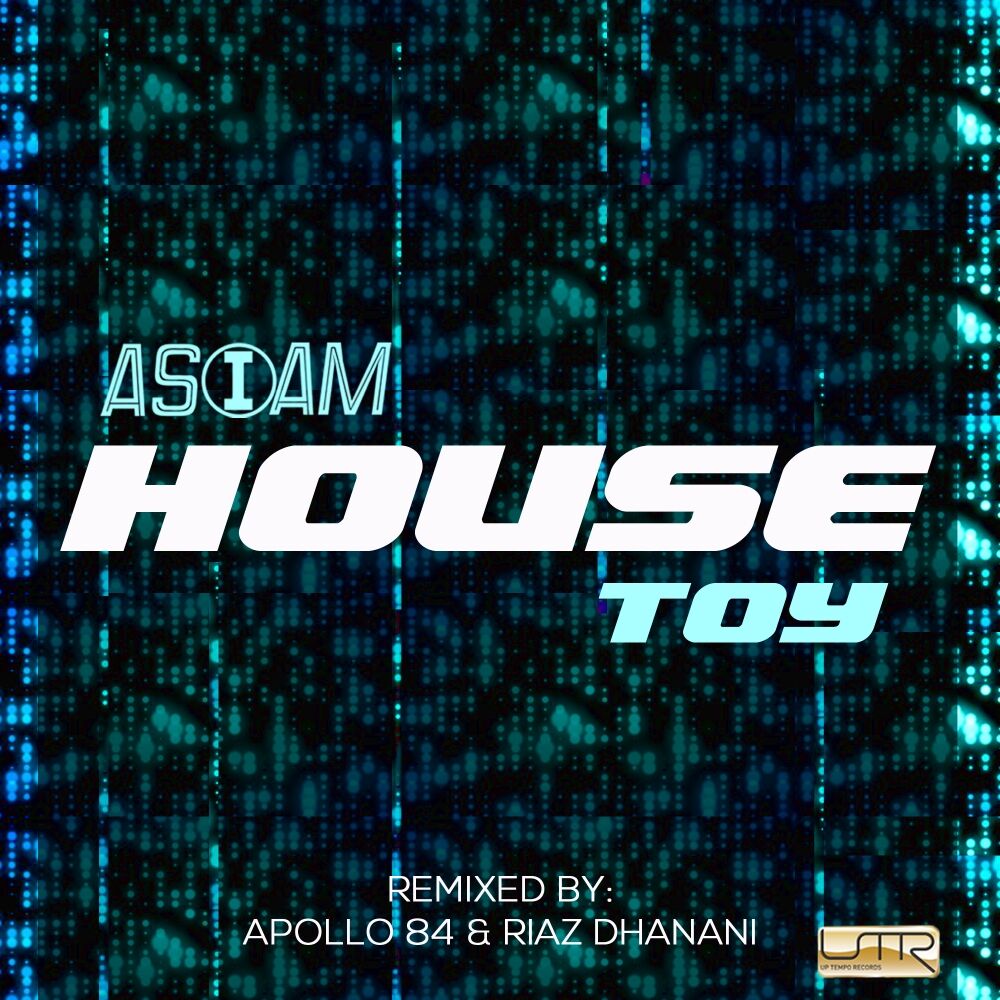 Picture of House Toy