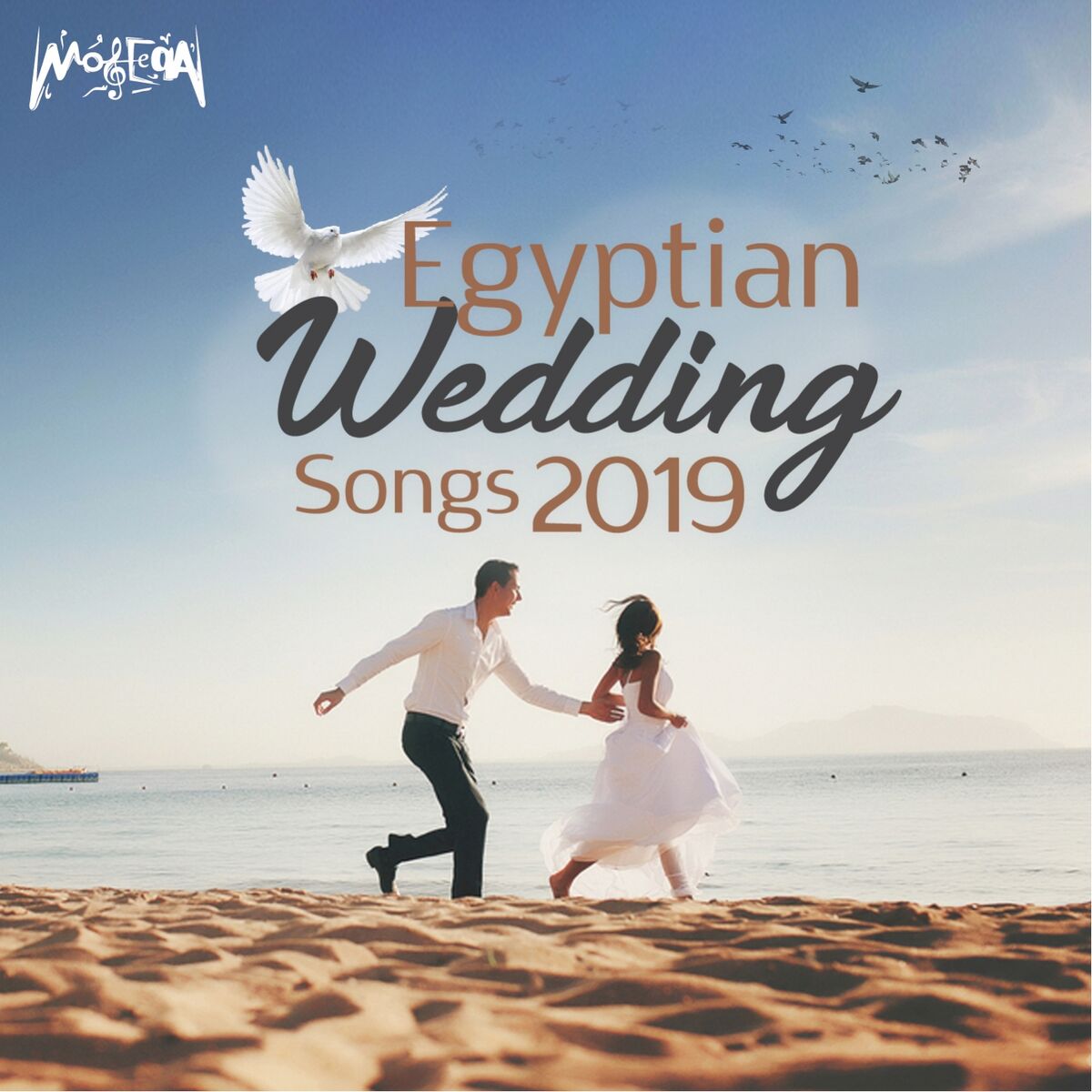 Album cover of Egyptian Wedding Songs 2019