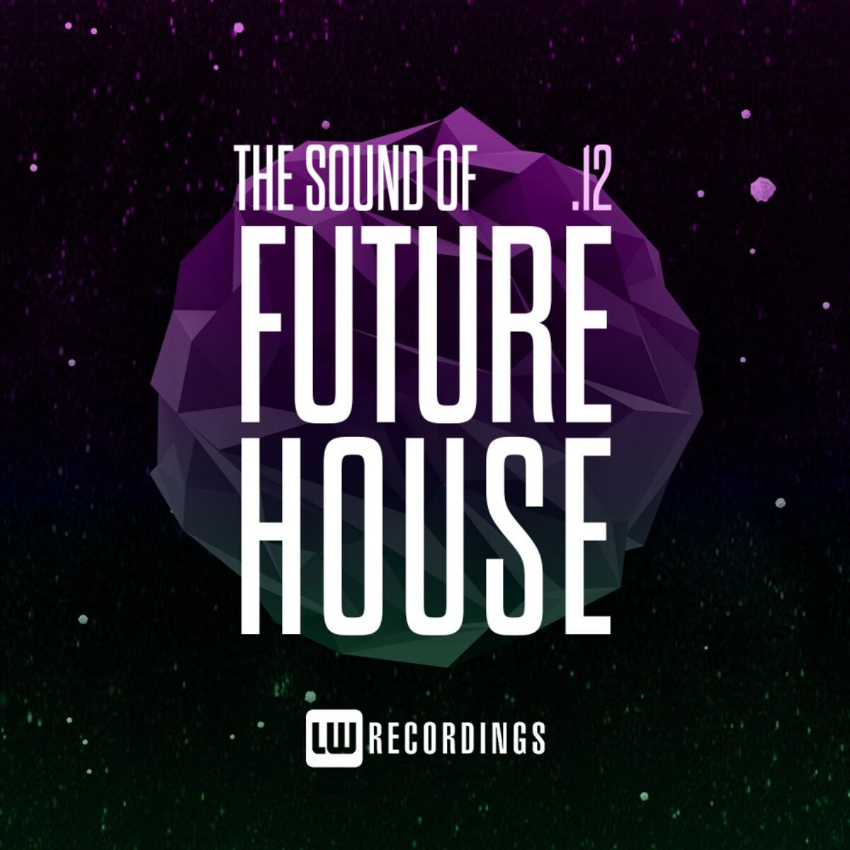 Album cover of The Sound Of Future House, Vol. 12