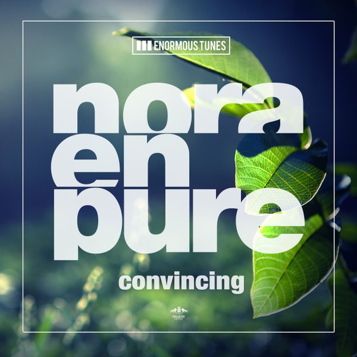 Album cover of Convincing