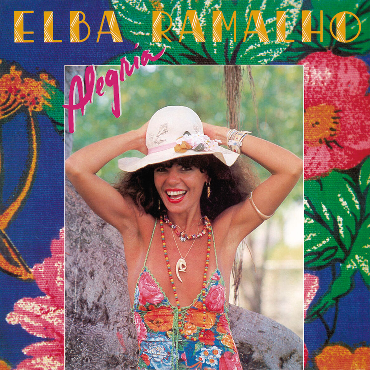 Album cover of Alegria