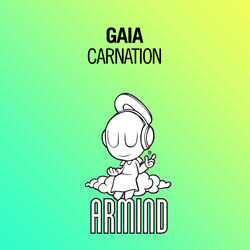Carnation