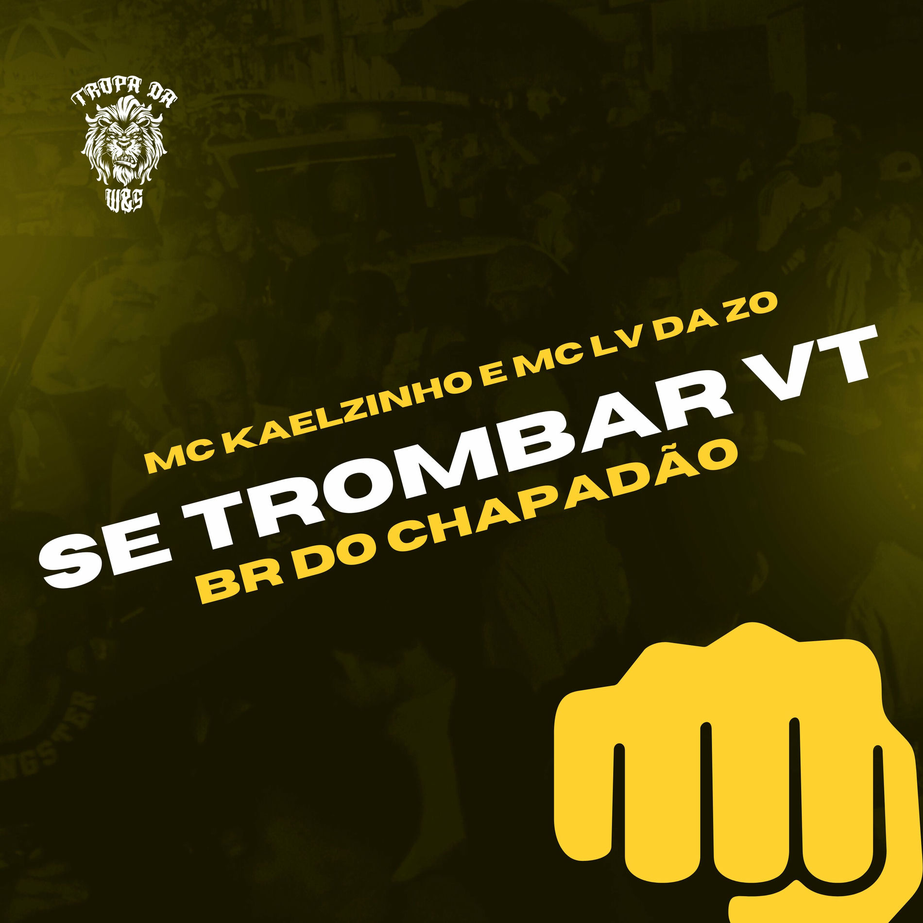 Album cover of Se Trombar VT