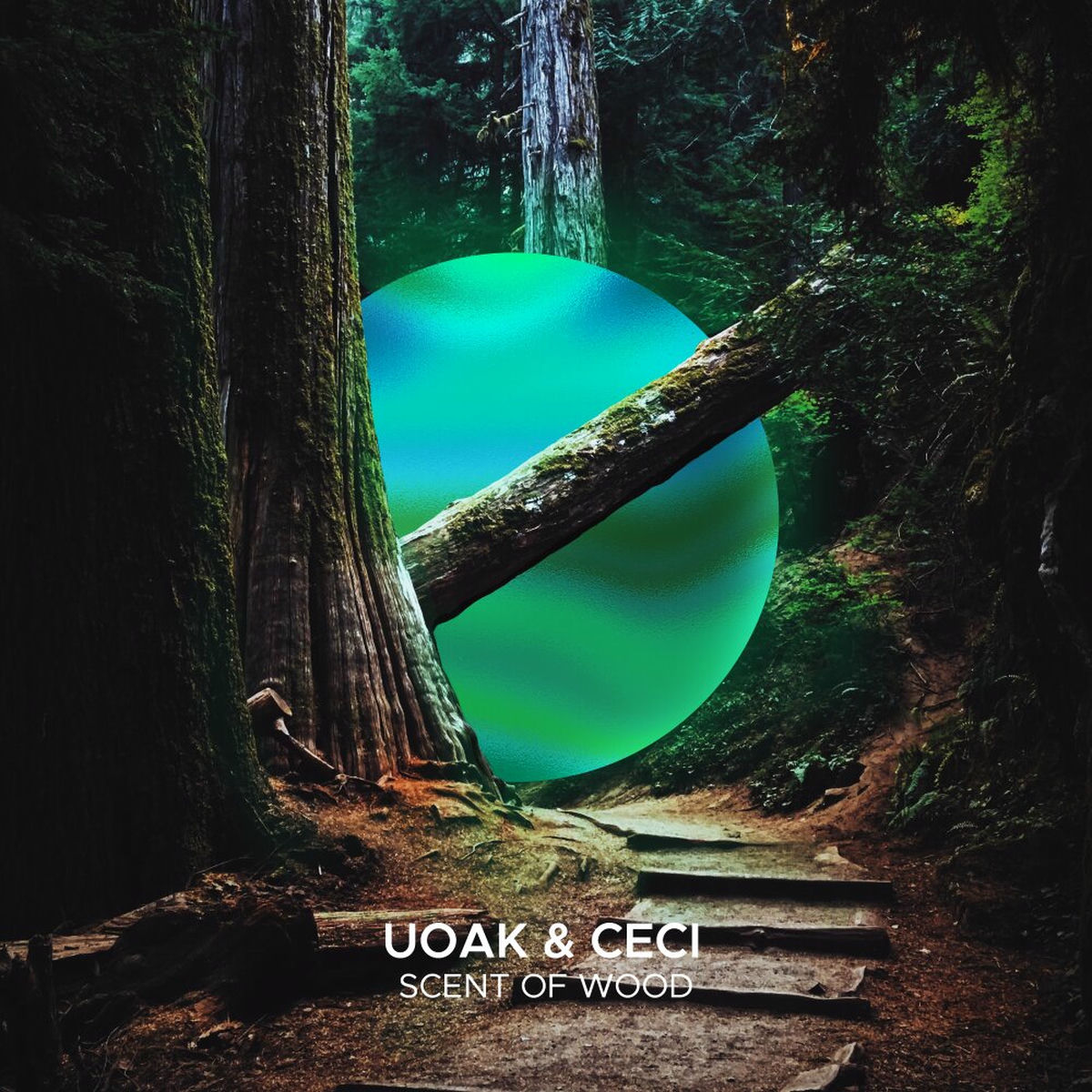 Album cover of Scent of Wood