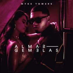 Cover of ALMAS GEMELAS