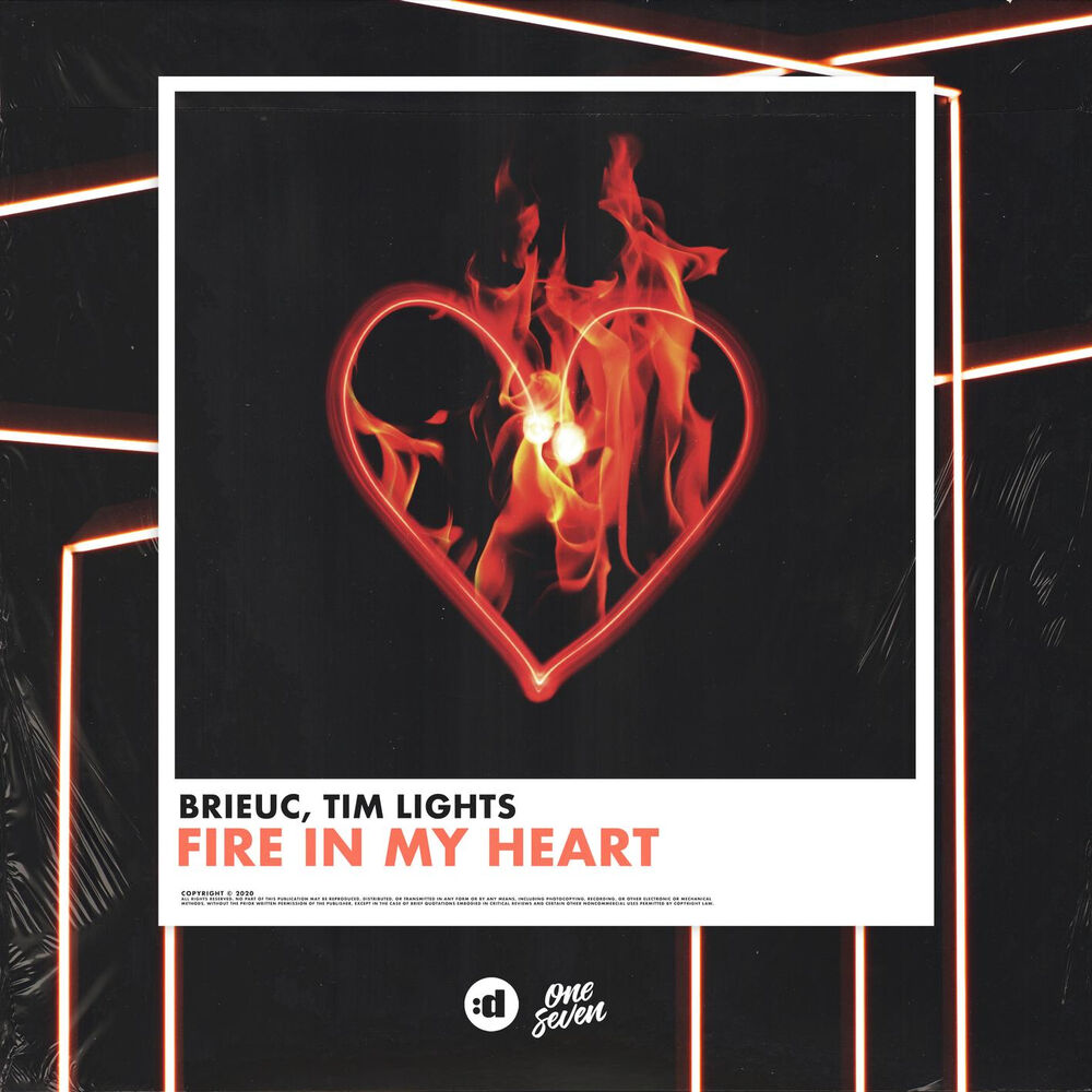 Picture of Fire In My Heart