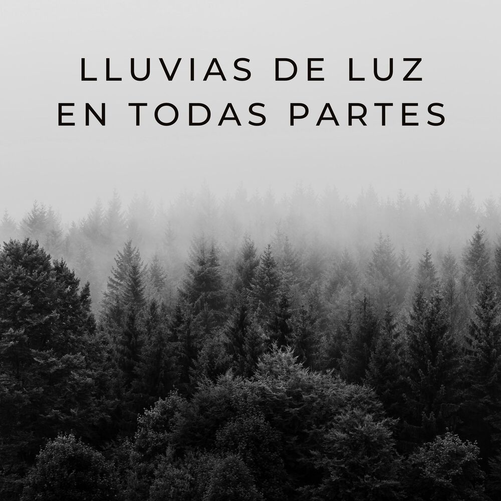 Picture of Lluvias De Luz En Todas Partes
