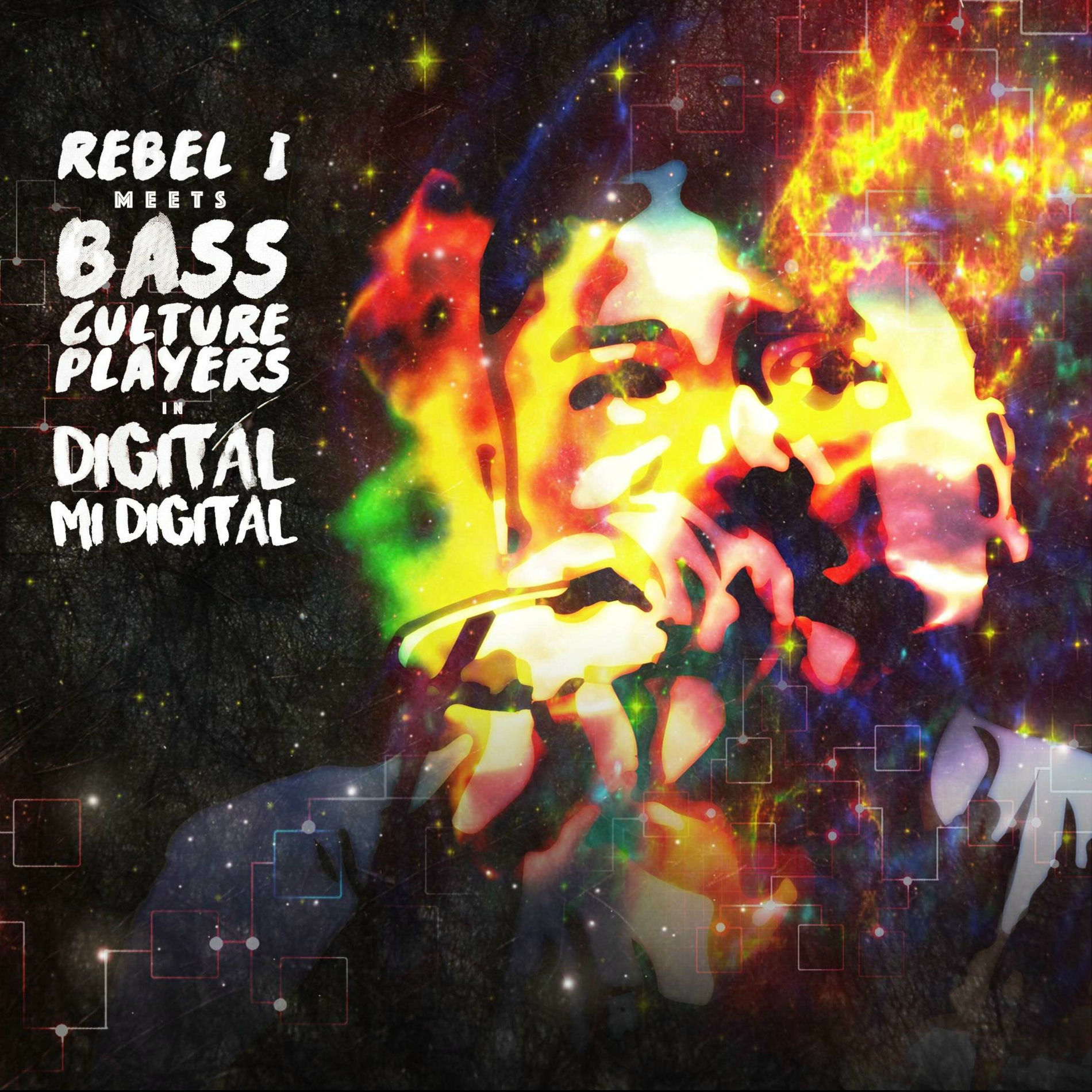 Album cover of Digital Mi Digital