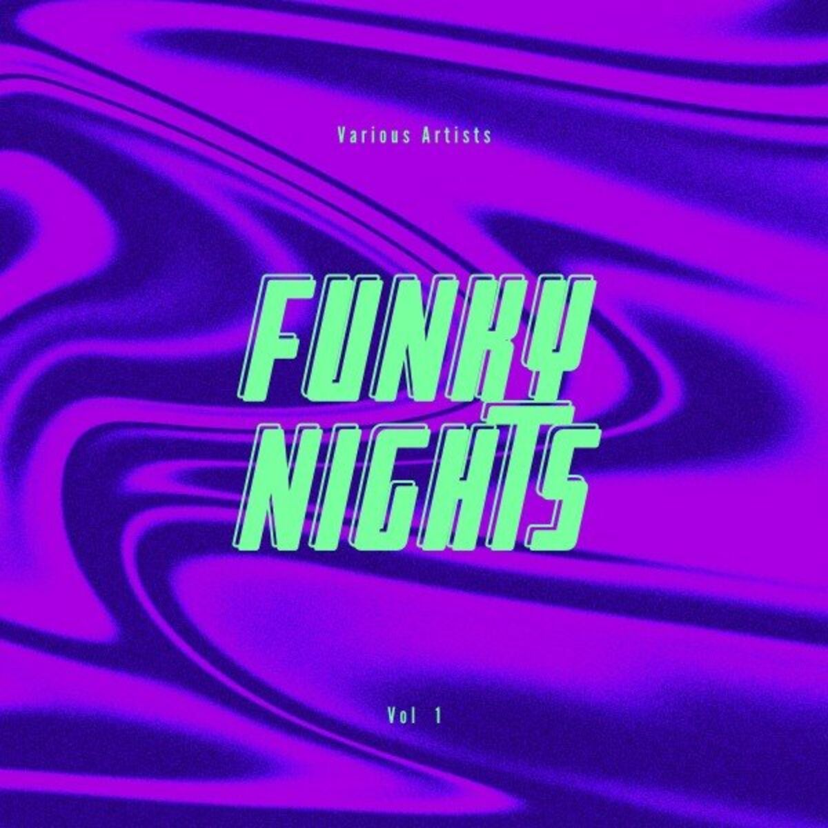 Album cover of Funky Nights, Vol. 1