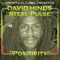 Cover of Positivity