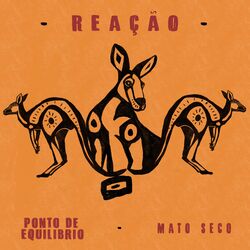 Cover of Reação