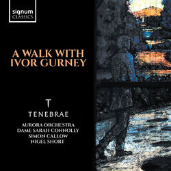 Cover of A Walk with Ivor Gurney