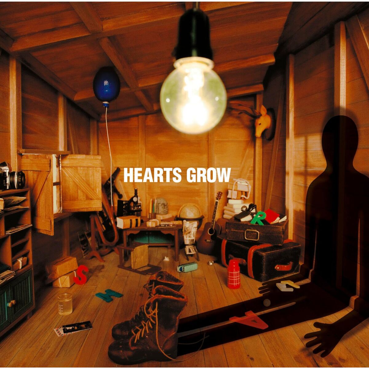 Album cover of kasanarukage