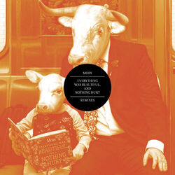 Cover of Everything Was Beautiful, and Nothing Hurt (Remixes)