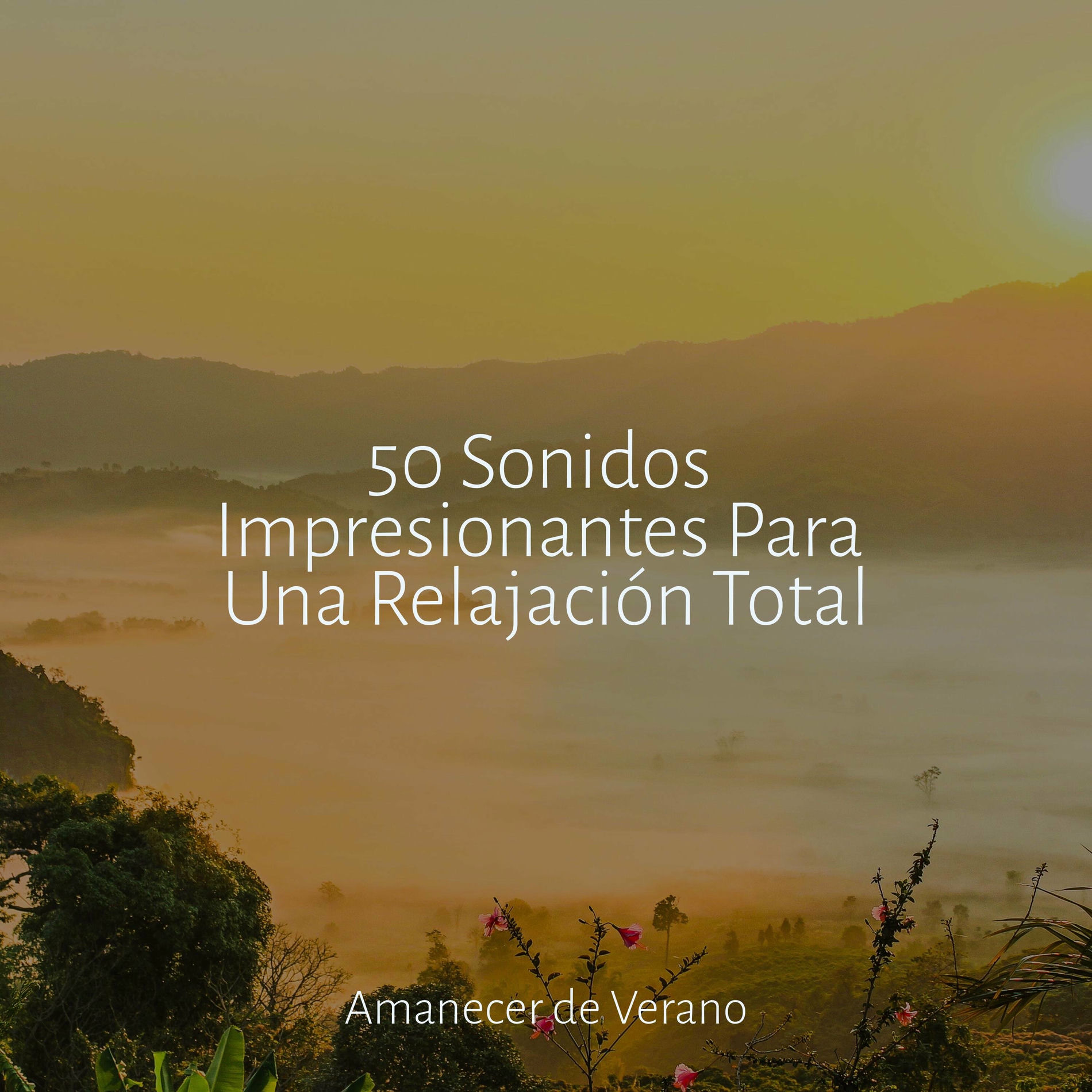 Album cover of 50 Sonidos Impresionantes Para Una Relajación Total