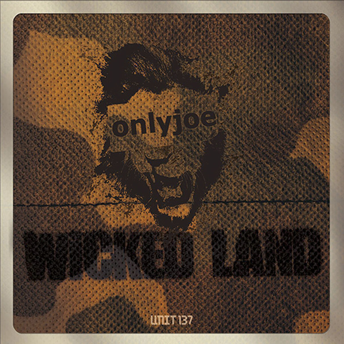 Album cover of Wicked Land