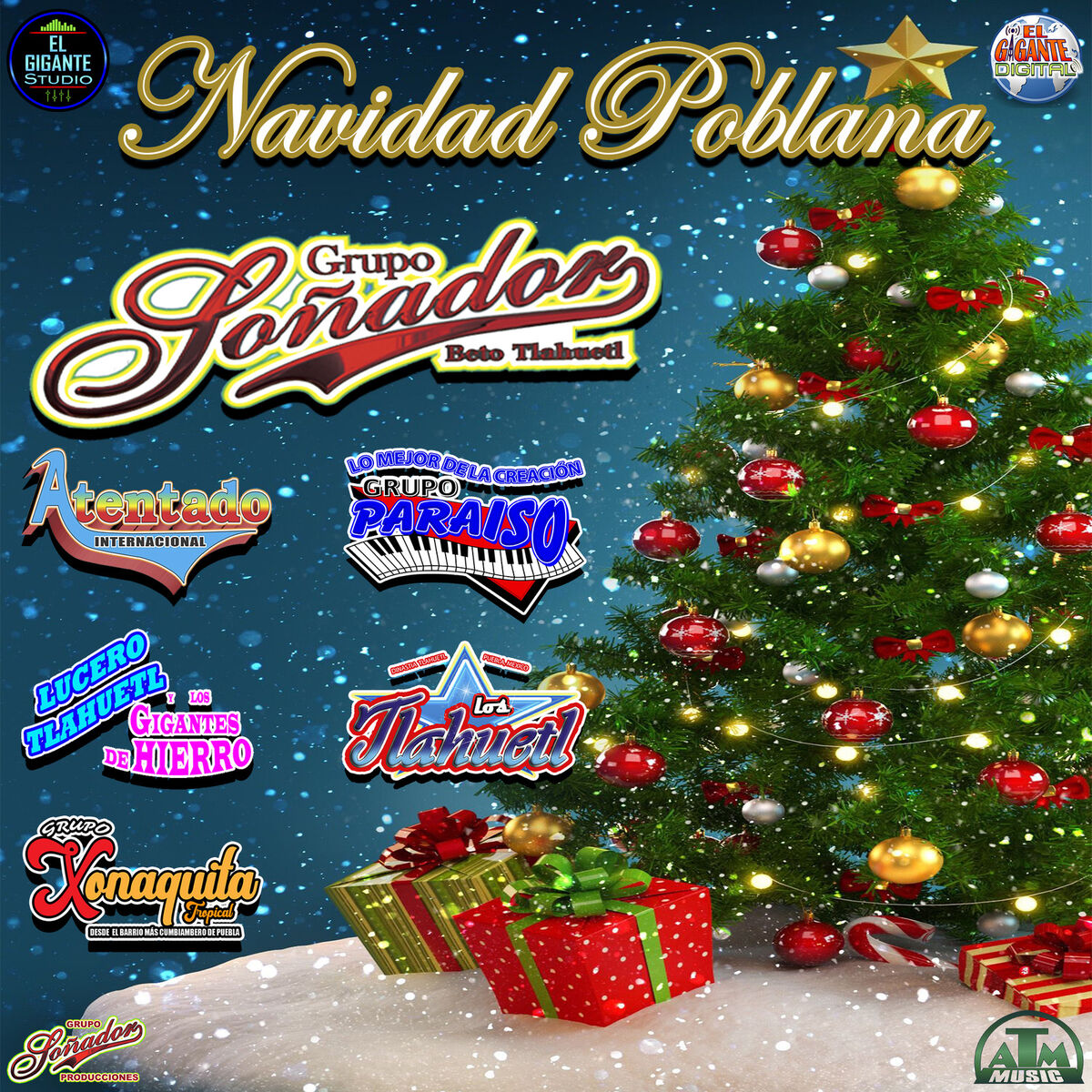 Album cover of Navidad Poblana
